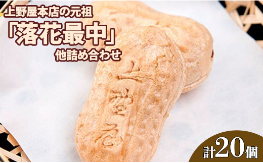ytXsz쉮{X̌cuԍŒvlߍ킹
