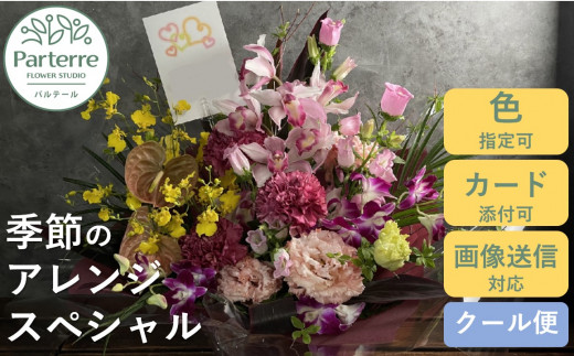 y茧kszG߂̃t[AWg XyV  y bh nz