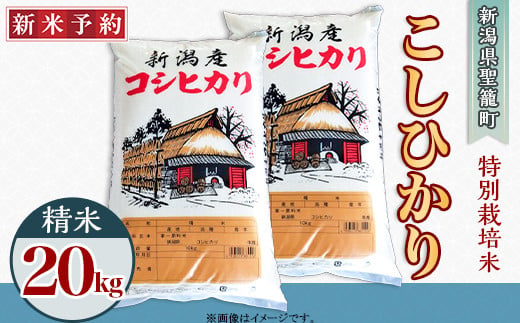 新潟県聖籠産 特別栽培米コシヒカリ20kg（聖籠地場物産） - 新潟県聖籠町｜ふるさとチョイス - ふるさと納税サイト