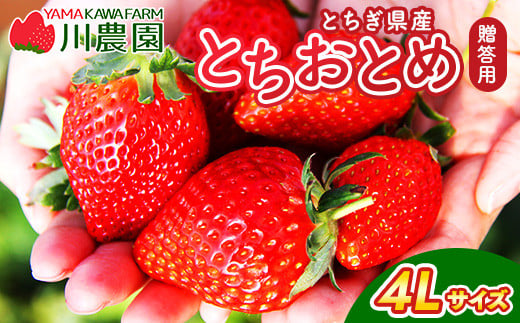 とちおとめ 320g×2パック 4Lサイズ ｜ いちご 苺 イチゴ 贈答 フルーツ 果物 国産 平積み ※2025年1月中旬頃より順次発送予定 -  栃木県壬生町｜ふるさとチョイス - ふるさと納税サイト