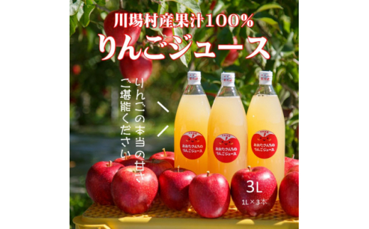 川場村直送＞ストレートりんごジュース1000ml×3本入り【1492868