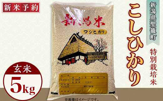 新潟県聖籠産 特別栽培米コシヒカリ【玄米】5kg（聖籠地場物産） - 新潟県聖籠町｜ふるさとチョイス - ふるさと納税サイト