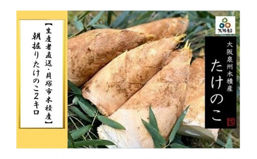 y{Lˎsz2026N3{\聄yYҒELˎsؐώYz@肽̂Qkg