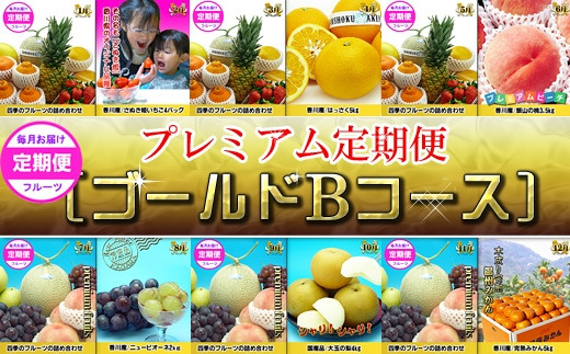 y쌧oszsS[hR[XBtYǌIt[cIf12