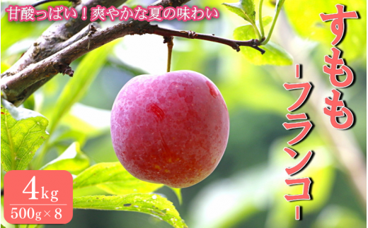 先行予約 すもも(ソルダム)1kg ※6月中旬~7月中旬頃に順次発送 先行予約 すもも(ソルダム)1kg ※6月中旬~7月中旬頃に順次発送