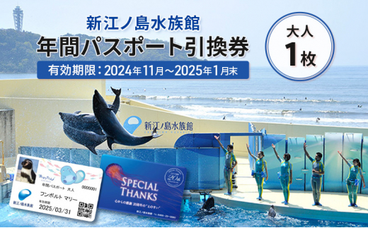 チケット 神奈川 【新江ノ島水族館】年間パスポート引換券(大人1枚) 有効期間2024年11月～2025年1月末まで 水族館 パスポート 入場券  江ノ島 藤沢市 神奈川県 プレゼント ギフト - 神奈川県藤沢市｜ふるさとチョイス - ふるさと納税サイト