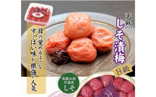 ya̎R쒬zIB썂~ p Д~ 1.5kg×1 mKn9n