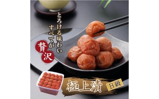 ya̎R쒬zIB썂~ p IBɏ 1.5kg×1 mKn6n