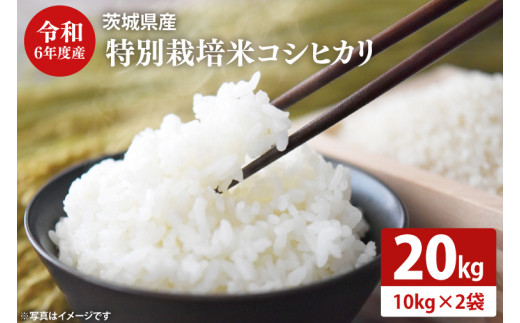 先行予約 数量限定！】新米 令和6年度産 茨城県産 特別栽培米コシヒカリ 20㎏ 食味80以上！ 減農薬 減化学肥料 農家直送 第52回茨城県 稲作共進会優秀賞受賞！【お米 ごはん こしひかり 30000円以下 20キロ 白米 茨城県 水戸市】（KJ-2） - 茨城県水戸市｜ふるさとチョイス  ...