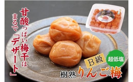 ya̎R쒬zIB썂~ p 񂲔~ 1.5kg×1 mKn10n