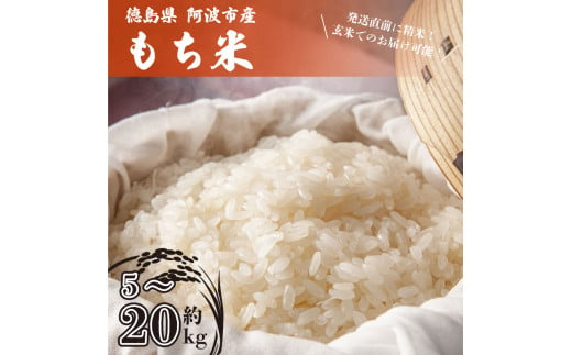 米 もち米 5kg ～ 20kg 新米 令和6年産 餅 赤飯 おはぎ 5キロ 10キロ 20キロ お米5kg コメ 備蓄 備蓄米 保存 防災 災害  おこわ 雑煮 大福 あられ イベント 餅つき 先行予約 阿波市 徳島県 - 徳島県阿波市｜ふるさとチョイス -