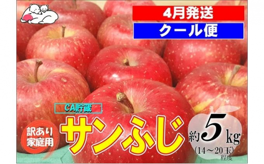 クール便】4月発送 白熊 訳あり家庭用 サンふじ 約5kg 糖度13度【弘前 
