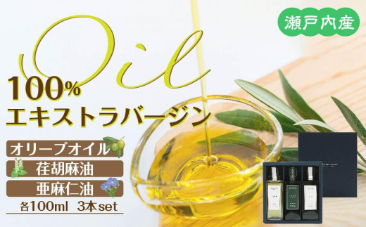 y쌧z˓Y100GLXgo[W(EXV)I[uICE`ӖEm100ml3{