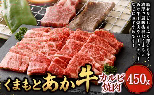 yF{Ǒz܂  Jr ē 450g    ɂ Y