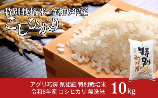 県認証 特別栽培米 コシヒカリ10kg 無洗米 新潟県認証 令和6年産 新潟県三条市産 こしひかり 【021S058】 -  新潟県三条市｜ふるさとチョイス - ふるさと納税サイト