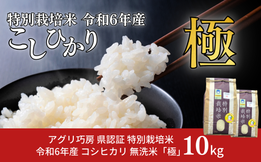 県認証 特別栽培米 コシヒカリ 「極」 5kg 無洗米 令和6年産米 こしひかり 新潟県認証 白米【012S087】 - 新潟県三条市｜ふるさとチョイス  - ふるさと納税サイト