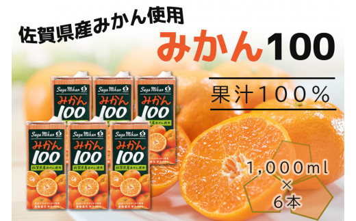 新品 みかん imgrc0109598527.jpg