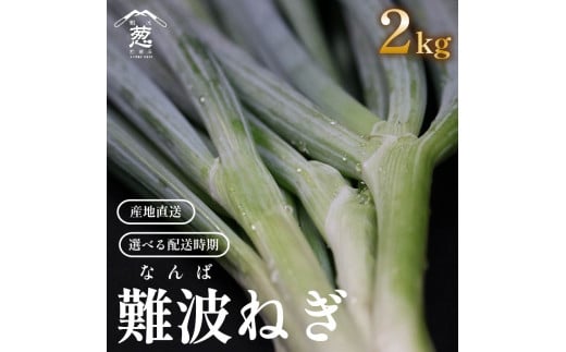 先行予約》《年内配送》選べる 配送期間 難波葱 2kg ねぎ 葱 鍋 青ねぎ 難波ねぎ 難波ネギ 白ねぎ 野菜 旬 ねぎ やさい 新鮮 産地直送  採れたて 直送 ねぎ 葱 フルーツ 果物 フルーツトマト りんご と同糖度 ねぎとろ ネギトロ 丼 ネギ塩 なにわ 伝統野菜