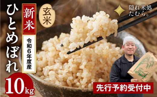 ひとめぼれ 10kg 福島県産 ひとめぼれ 7年産 お米 米 10kg 小分け 白米 安い 美味い 福島県産