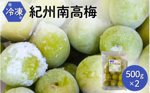 【和歌山県田辺市】冷凍南高梅 500g×2 / 紀州南高梅 南高梅 青梅 梅 ウメ うめしごと 紀州 梅酒 梅ジュース 梅シロップ 和歌山県 田辺市 【kng012-1】