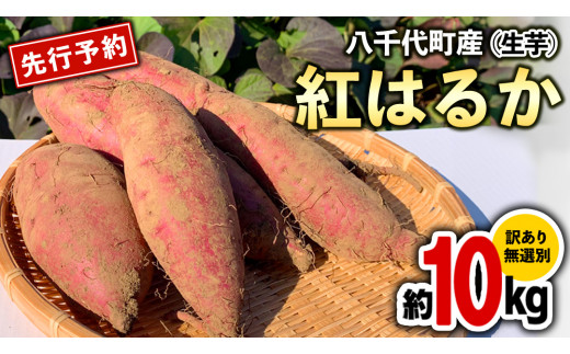 さつまいも 紅はるか 千葉県産 A級品 約4.5kg Lサイズ : うまい