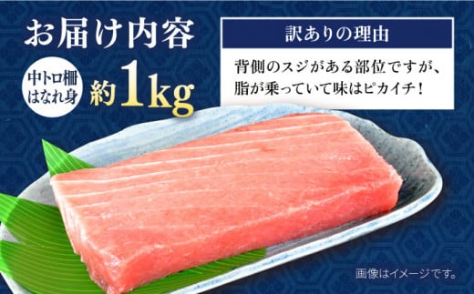 訳あり】天然 まぐろ 中トロ はなれ身（約1kg） 鮪 マグロ 魚 刺身 横須賀【横須賀商工会議所 おもてなしギフト事務局（本まぐろ直売所）】  [AKAK014] - 神奈川県横須賀市｜ふるさとチョイス - ふるさと納税サイト