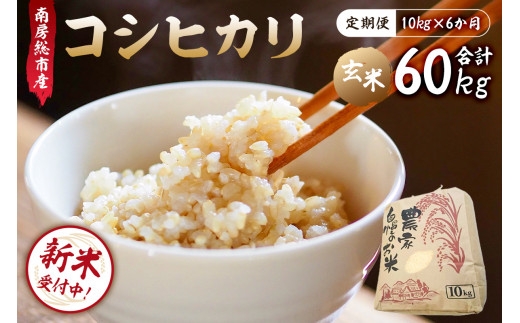 定期便】【新米】 南房総市産コシヒカリ玄米60kg（定期便10kg×6カ月  