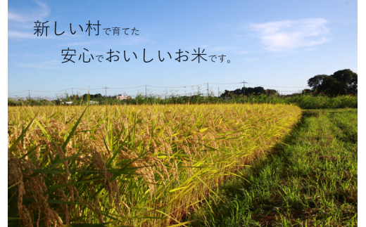 令和６年産 新米 コシヒカリ「村そだち」 ２０ｋｇ - 埼玉県宮代町｜ふるさとチョイス - ふるさと納税サイト