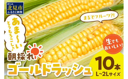 予約：2024年9月上旬から順次発送】北海道北見市産 朝採れ ゴールドラッシュ 10本 ( 野菜 トウモロコシ とうもろこし コーン ゴールドラッシュ  採れたて 新鮮 )【164-0005】 - 北海道北見市｜ふるさとチョイス - ふるさと納税サイト