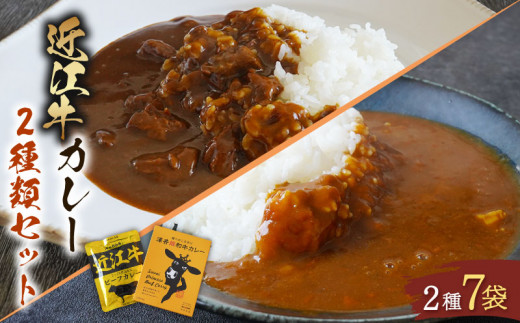 近江牛 カレー 2種 セット 澤井姫和牛 ( 近江牛 ) カレー 200g × 2袋 近江牛 カレー 160g × 5袋 セット 計 7袋 カレー【  レトルト カレー 近江牛 カレー 黒毛和牛 牛肉 1200g 肉 ギフト 自宅用 高級