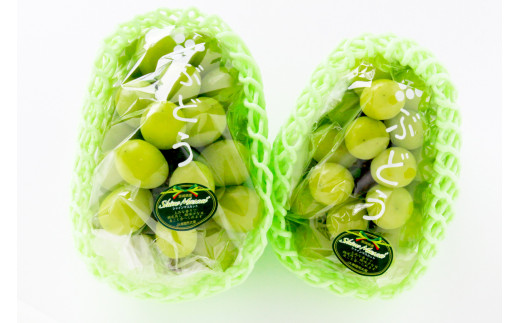 徳用熊本純粋馬油2キロ 石鹸に徳用熊本純粋馬油2kg 石鹸