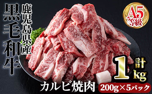 1回】200g×5パック＞A5等級鹿児島県産黒毛和牛カルビ焼肉(計1kg・200g×5パック×1回) カルビ 焼肉 黒毛和牛【カミチク】A491-v01  - 鹿児島県曽於市｜ふるさとチョイス - ふるさと納税サイト