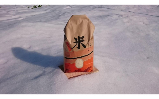 米 コシヒカリ 令和7年産 鳥取県産 3kg【こしひかり 米 お米 白米 2025