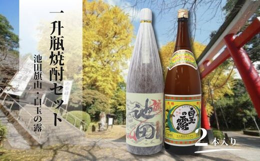 ☆先行受付☆No.3066-2 焼酎 【池田旗山】一升瓶×3本セット - 鹿児島県 