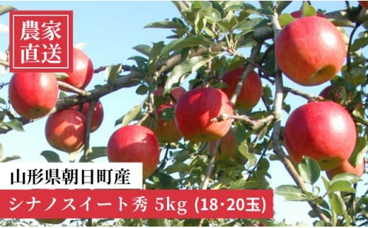 朝日町産 りんご 〈こうとく〉 秀 2.7㎏ (約12～16玉)【11月上旬発送】 - 山形県朝日町｜ふるさとチョイス - ふるさと納税サイト