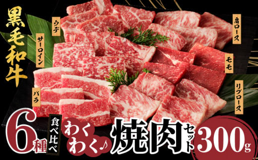 【12月発送】生産者応援≪訳あり≫黒毛和牛(経産牛)6種焼肉セット(合計300g) 肉 牛 牛肉 おかず 国産_T030-022-612