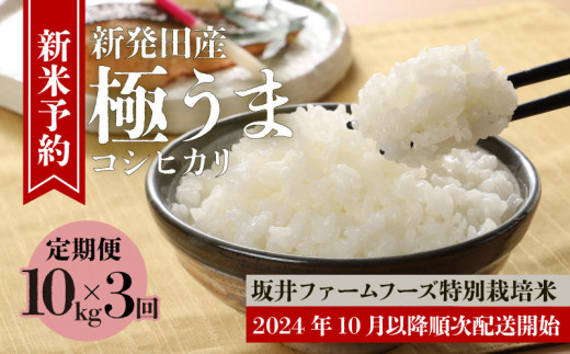 令和6年産先行予約】新潟産コシヒカリ 5kg 特別栽培米 新発田産 【 先行予約 新潟県 新発田市 米 新米 コシヒカリ 菅谷 玄米 5kg  D78_Y 】 - 新潟県新発田市｜ふるさとチョイス - ふるさと納税サイト