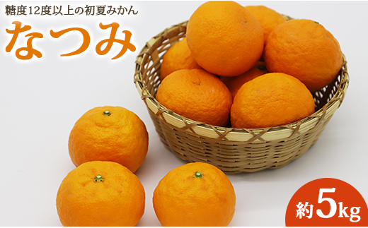 なつみ 5kg みかん 糖度12度以上の初夏 ku-0028 - 高知県香南市