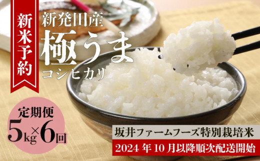 5kg×6か月】 令和6年産 先行予約 新潟 特別栽培米コシヒカリ 坂井ファーム 【 米 お米 定期便 新米 予約 5kg 30kg 6か月 新潟  新発田 コシヒカリ D74_01Y 】 - 新潟県新発田市｜ふるさとチョイス - ふるさと納税サイト