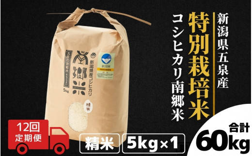 令和7年産 コシヒカリ【定期便 12ヶ月】5kg × 12回 五泉産 南郷米 特別