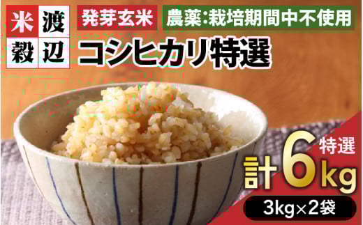 u*3様 美味しいお米 籾保存 コシヒカリ15キロ 無農薬