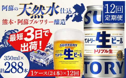 FKK19-899 【2回定期便】 サントリー 生ビール トリプル生 350ml ×1ケース (24缶) 熊本県 嘉島町 ビール サン生 -  熊本県嘉島町｜ふるさとチョイス - ふるさと納税サイト