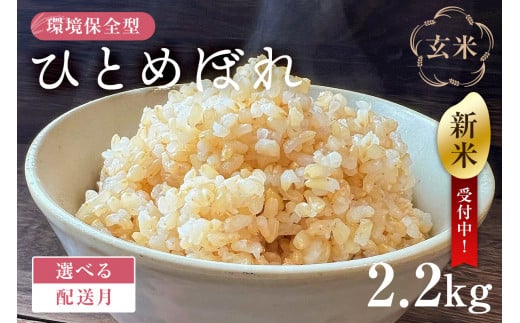 配送月が選べる】【新米】環境保全型ひとめぼれ 玄米2.2kg【2024年産】 mi0036-0008 - 千葉県南房総市｜ふるさとチョイス -  ふるさと納税サイト