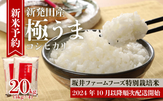 令和6年産 先行予約 新潟 特別栽培米コシヒカリ 20kg 5kg×4袋 坂井ファーム 【 新潟 新発田 米 新米予約 予約 こしひかり 20kg  5kg D84_Y 】 - 新潟県新発田市｜ふるさとチョイス - ふるさと納税サイト