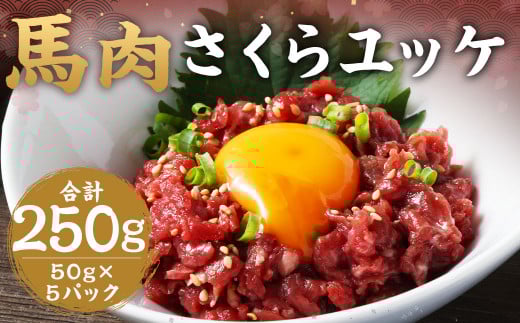 【熊本県湯前町】馬肉 さくらユッケ 250g (50g ×5) 熊本 桜ユッケ ユッケ 馬 馬ユッケ くまもと 小分け 赤身 国産