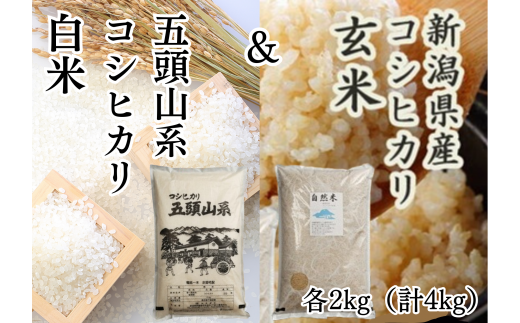 新米】「米屋のこだわり阿賀野市産」 コシヒカリ玄米＆白米 各2kgセット 1E10013 - 新潟県阿賀野市｜ふるさとチョイス - ふるさと納税サイト