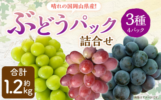 岡山県産 シャインマスカット 晴王＆ニューピオーネ 約500g×各1房 計1kg（2房） 【2024年8月下旬～10月上旬迄発送予定】 岡山 大粒  たねなし マスカット 果物 くだもの フルーツ ぶどう ブドウ 葡萄 人気 - 岡山県奈義町｜ふるさとチョイス - ふるさと納税サイト