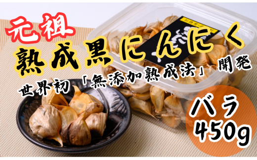 yOdIkzynzɂɂ I qor450g[GN02]