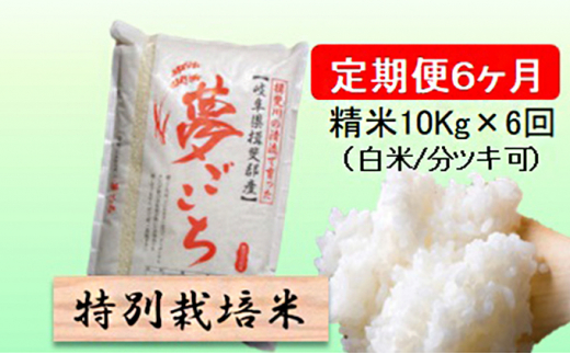 令和５年産 特別栽培米☆[定期便] 6カ月☆毎月 精米10kg（白米/5分/7分ツキ可） 【夢ごこち】 玄米は別に出品 [№5644-1161] -  岐阜県池田町｜ふるさとチョイス - ふるさと納税サイト