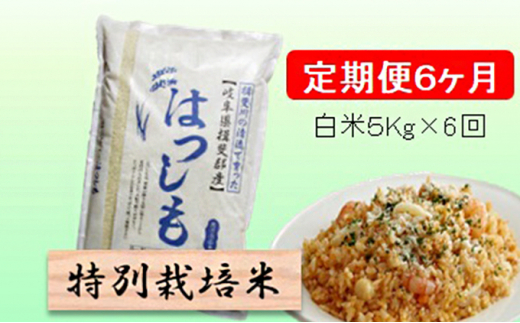 令和５年産 特別栽培米☆[定期便] 6カ月☆毎月 精米10kg（白米/5分/7分ツキ可） 【夢ごこち】 玄米は別に出品 [№5644-1161] -  岐阜県池田町｜ふるさとチョイス - ふるさと納税サイト